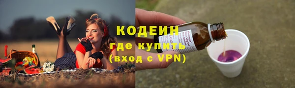 прущие грибы Абинск