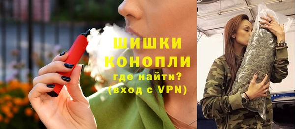прущие грибы Абинск