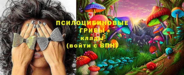 прущие грибы Абинск