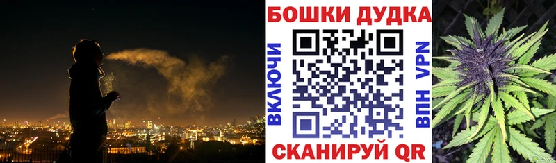 наркота  Дмитровск  Бошки марихуана сатива 